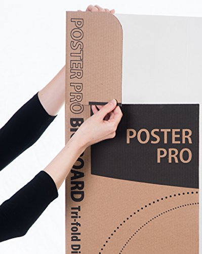2 Poster+Trifold+Display+Header+2+Pack