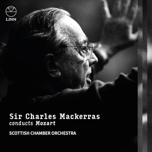 Amazon.com: Symphonies 40 & 41: CDs & Vinyl