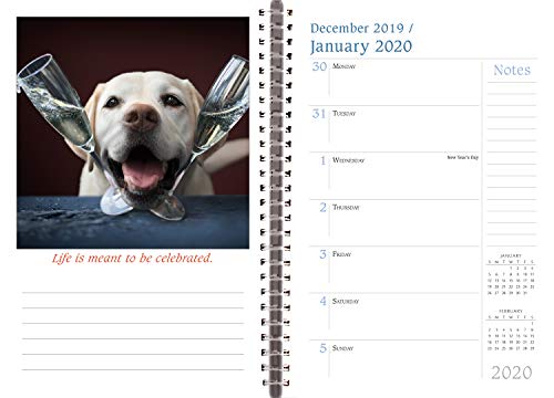 Dogma 2020 Day Planner 18-Month - Daily Weekly Monthly Planner Yearly Agenda Organizer: July 2019 - December 2020 - A Dog's Guide to Life