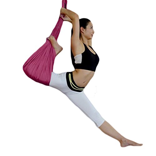 Algopix Similar Product 6 - WELOVE Aerial Yoga SwingHammock