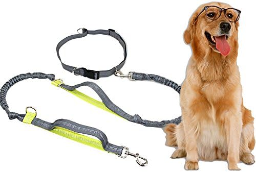 Pupet Dog Leash Hands Free Retractable with Dual Handle Bungees Reflective Adjustable Leash Belt for Running Cycling Hiking Jogging (green)