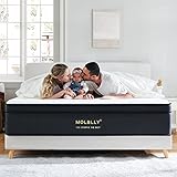 Molblly King Mattress, 10 Inch Hybrid Mattress in a