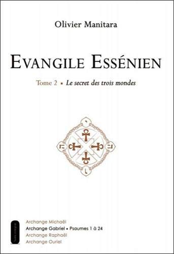 Evangile EssÃ©nien (French Edition) by (Paperback)