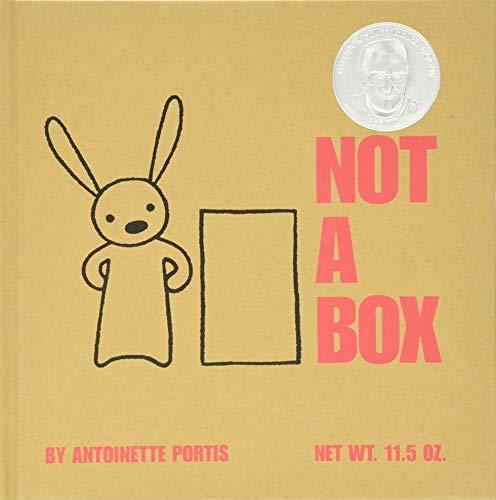 Not a Box Not a Box Hardcover Kindle Board book Paperback