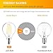 Ascher E12 Candelabra LED Bulbs 60 Watt Equivalent, 550 Lumens, Daylight White 5000K, Decorative G45 LED Globe Bulbs, Filament Clear Glass, Non-Dimmable, Pack of 5
