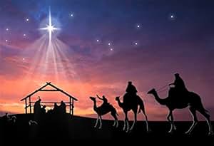 Amazon.com : AOFOTO 10x7ft Stable Nativity Scene