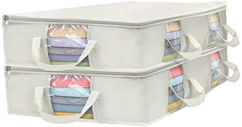 Sorbus Foldable Storage Bag Organizers, Large Clear Window & Carry Handles, Great for Clothes, Blankets, Closets, Bedrooms, and More (Beige)