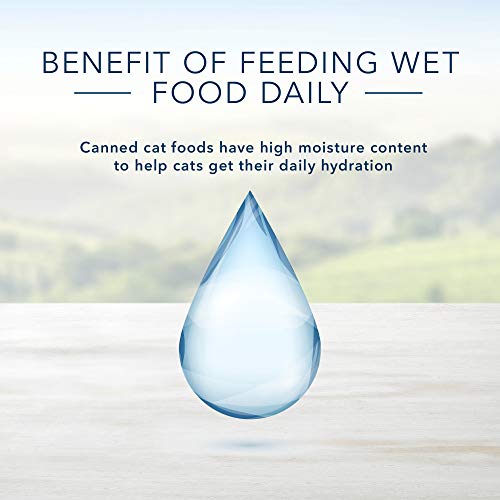 Blue Buffalo Healthy Gourmet Natural Adult Flaked Wet Cat Food Fish