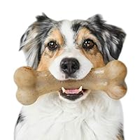 Pet Qwerks Real Bacon Infused BarkBone - Durable Toys for Aggressive Chewers, Tough Indestructible Extreme Power Chewer Bones | Made in USA, FDA Compliant Nylon - for Small Dogs & Teething Puppies