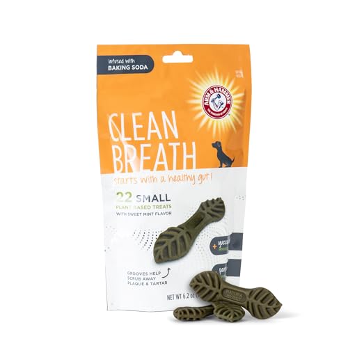 ARM & HAMMER FOR PETS CLEAN BREATH FROM THE INSIDE DENTAL TREATS FOR DOGS, SIZE SMALL | MINT FLAVOR FRESH BREATH TREATS WITH PARSLEY, CLOVE AND YUCCA