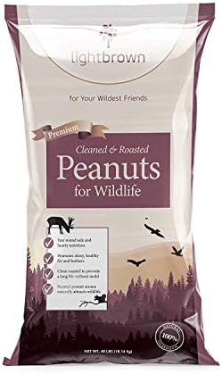 Lightbrown Premium Cleaned & Roasted Peanuts