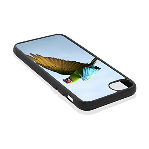 puma out of insect sloths