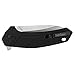 Kershaw Rove (1965) Folding Pocket Knife EDC with Drop-Point Blade; Features SpeedSafe Assisted Opening, Flipper, Liner Lock, Lanyard Hole, Deep-Carry Pocketclip, Wear Resistance & Edge Retention