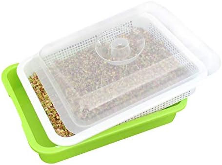 Seed Sprouter Tray BPA Free Nursery Tray for Seedlings Wheat Grass Grower Planter with Cover Sprouting Kit Thickening Seedling Box Planting Mung Bean Sprout Growing Trays（32.5CM26CM11.5CM）