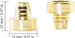 RTRHINOTUNING 100PCS Gold Wheel Rim Lip Rivets Nuts
