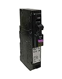 SCHNEIDER ELECTRIC Miniature Circuit Breaker 120V