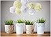 Furuix 8pcs White Mixed Cream Tissue Paper Pom Pom Paper Flower Pom for Baby Shower Wedding Birthday Celebration Table Wall Decoration