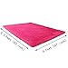 PAGISOFE Ultra Soft Area Rugs Girls Kids Bedroom Carpet Nursery Decor Living Room Rug Floor Mat 4' x 5.3', Fuzzy Rugs for Kids Baby, Soft Rugs for Nursery, Dorm Shag Rugs for Girls Boys, Hot Pink