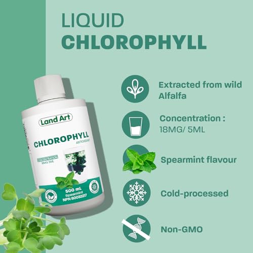 Liquid Chlorophyll Mint - Cold Extracted from Non-GMO Alfalfa - Clorofila - Detox Cleanse - Alkalization & Antioxidant Support - Vegan - Gluten Free - Made in Canada - 500 ml Bottle