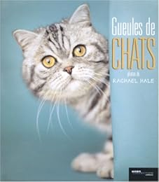 Gueules de chats