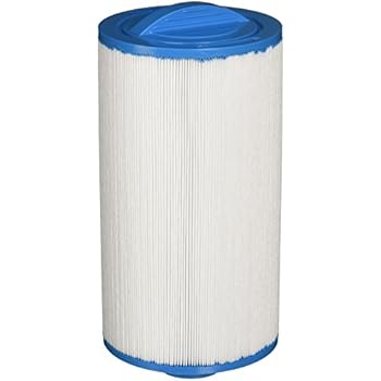 Filbur FC-0136 Antimicrobial Replacement Filter Cartridge for Dolphin PDM-25 Pool and Spa Filter