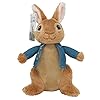 Beatrix Potter Kids 24cm Peter Rabbit Plush Toy