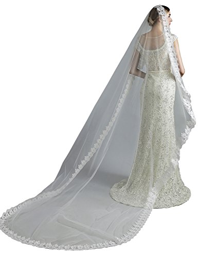 Anmor 1T Long Wedding Veils Tulle Lace Applique Bridal Veil Free Comb Ivory 11045