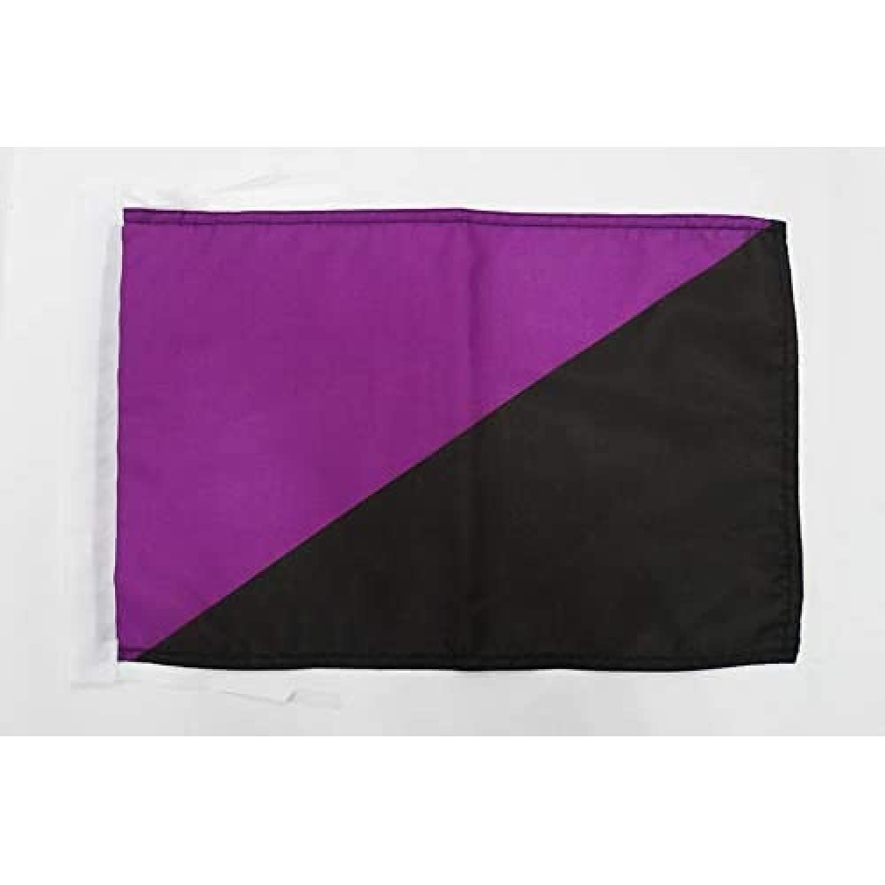 AZ FLAG - Anarcho-feminism Flag - 18'' x 12'' - 100% Polyester Anarcha-feminist - anarchism Small Banner with Two Cords - Fade Resistant - Vivid Colors - 18x12 in - 45x30 Cm