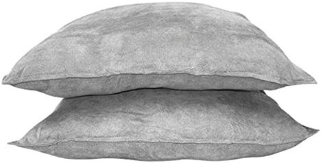 Hudson Street Faux Suede 22 x 22 in. Decorative Pillow - 2 Pack