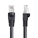 DbillionDa Outdoor Ethernet 50ft Cat6 Cable, Shielded Grounded UV Resistant Waterproof Buried-able Network Cord