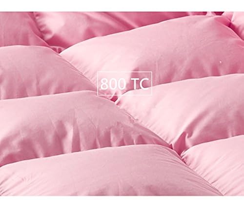 ROSE FEATHER Toddler/Travel/Crib Goose Down Comforter Duvet