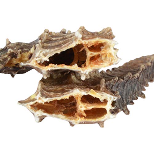OUYANGHENGZHI Chinese Soup Materials Dried Sea Horse Small Haima 小海马干 1 Pair - Thumbnail 4