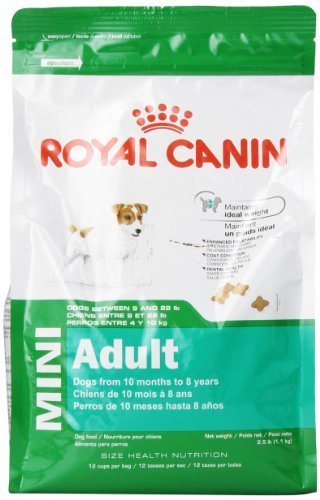 royal canin mini adult dry dog food
