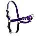 PetSafe Easy Walk No-Pull Dog Harness - The Ultimate Harness to Help Stop Pulling - Take Control & Teach Better Leash Manners - Helps Prevent Pets Pulling on Walks, Small, Deep Purple/Black