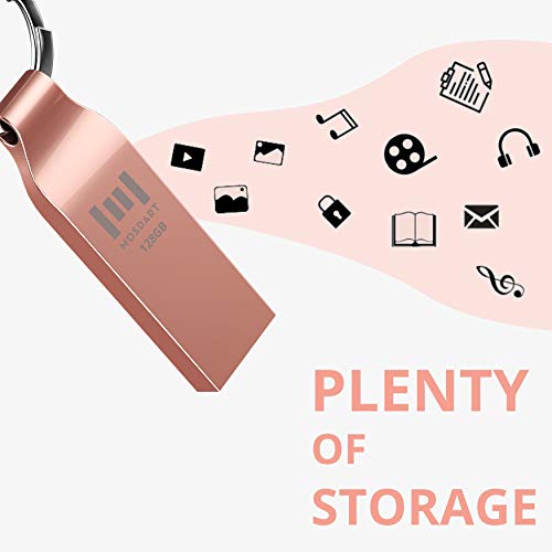 MOSDART 128GB exFAT USB 2.0 Flash Drive Metal Thumb Drive with Keychain