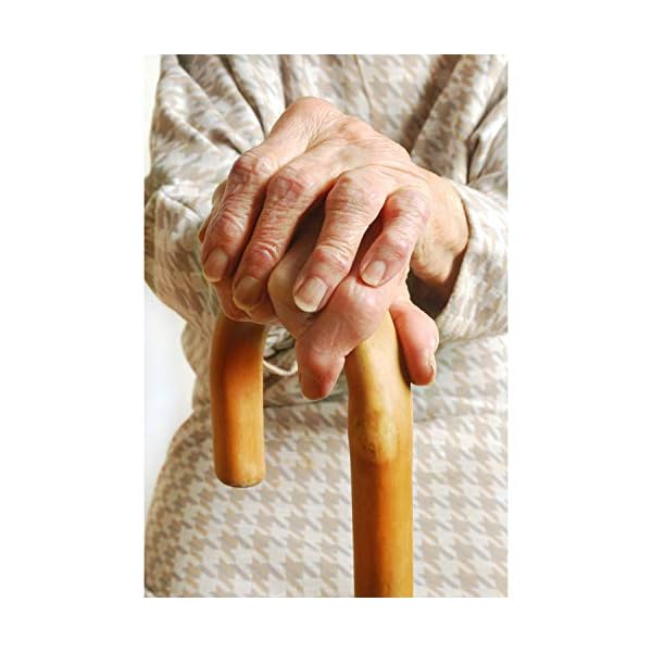 Carex Wooden Walking Cane Round Handle Wood Cane With Natural Ash