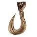 Full Shine Clip in Hair Extensions Balayage Hair Extensions Clip in Human Hair Balayage Golden Brown to Dirty Blonde Straight Hair Clip in Extensions Double Weft 7 Pcs 14 Inch
