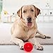 EXPAWLORER 12 Pack Dog Rubber Bouncy Balls, Dog Chew Toys Elastic Tennis Balls Durable Racquetball Toys for Small and Medium Dogs Red Yellow Blue