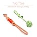 10 Pack Dog Toy Set Ball Rope and Chew Squeaky Toys for Small Medium Dog