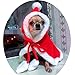 ANIAC Pet Christmas Costume Poncho Cape with Hat Santa Claus Cloak for Cats and Small Dogs Red Christmas Dog Costume Holiday Cat Outfit (Small)…