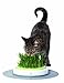 Catit Design Senses Grass Garden Kit 1x70g