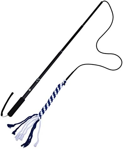 wowowo Dog Retractable Interactive Wand Toy (V2) Pet Obedience Training &amp; Exercise Wand with Replaceable Durable Chew Rope, Black