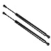 Maxpow Qty (2) Rear Glass Gas Charged Lift Support Struts For 2004-2010 Volk...