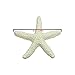 LJY 25 Pieces Beige Resin Pencil Finger Starfish for Wedding Decor, Home Decor and Craft Project, 2.3 Inches
