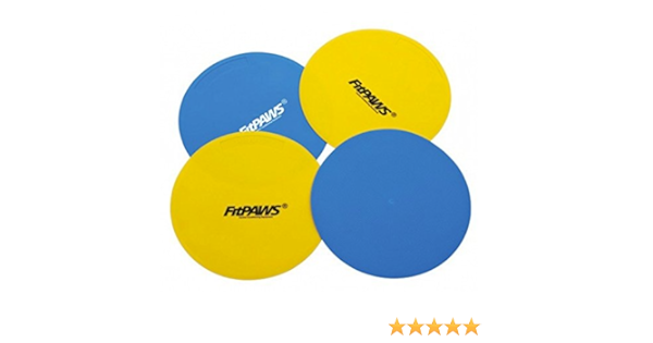 dog target training equipment