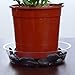 YOUniversal Products Plant Saucers (Pack of 10) - 6” Clear Durable Plant Saucer for Indoor & All-Weather Outdoor Use - Catch Dirt & Water from Plant Pots to Stop Messes & Stains in Your Home & Garden