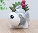 Youfui Cute Dog Flowerpot Resin Succulent Planter Desk Mini Ornament (Schnauzer Pot)