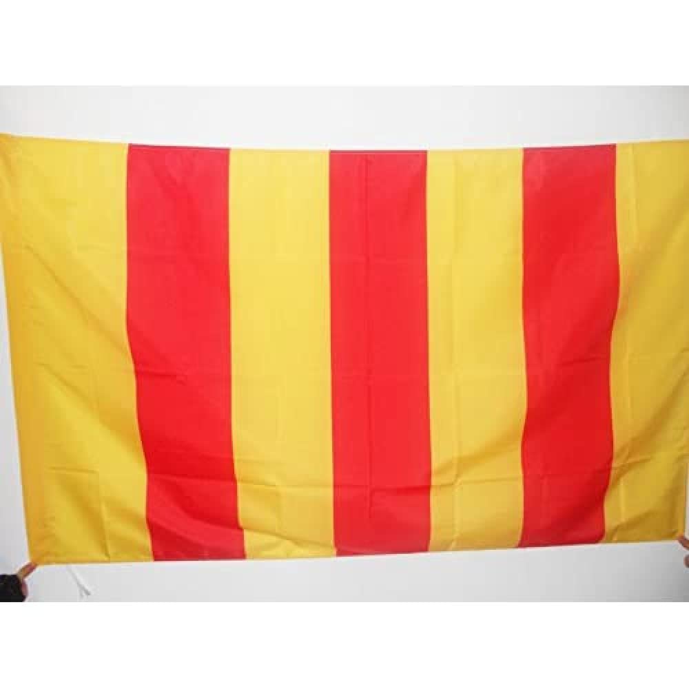 AZ FLAG - French Province of Foix Flag - 3x5 Ft - County of Foix Banner with Sleeve - 100% Polyester - Fade Resistant - Vivid Colors - 3' x 5' Feet - 150x90 Cm