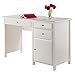 Winsome Wood Delta Home Office White