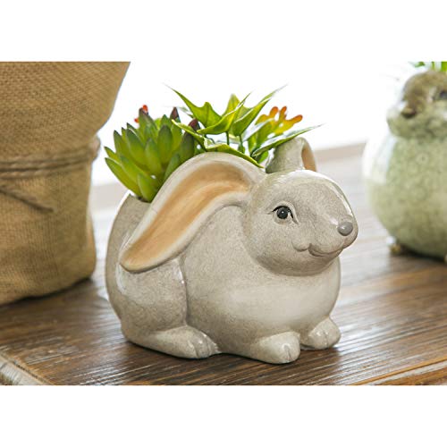 Cypress-Home-Ceramic-Rabbit-Planter-with-Succulent-6-x-5-x-4-Inches